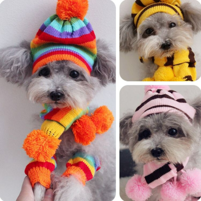 Rainbow Stripe Knitted Dog Win - Winter Clothing Leg Warmers incelemesi ve fiyatı