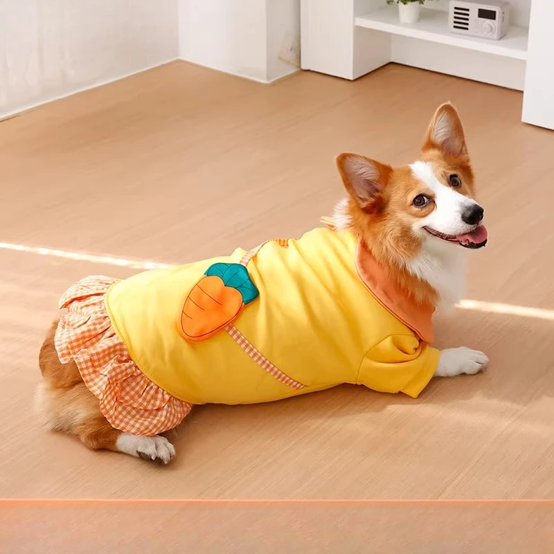 Dog clothing - Winter warmers  - Winter Clothing Leg Warmers incelemesi ve fiyatı
