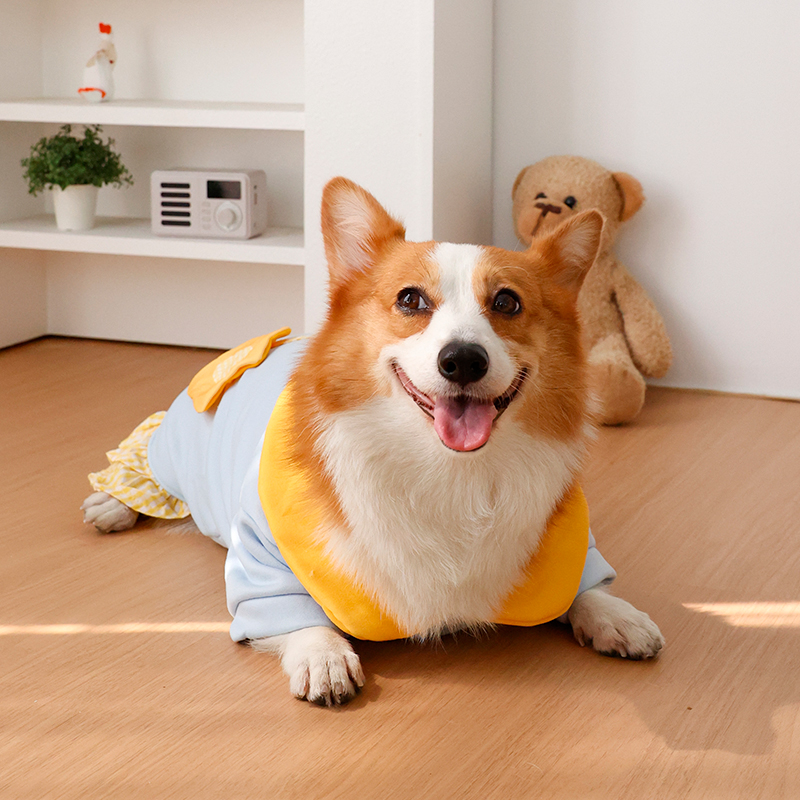 Dog clothing - Winter warmers  - Winter Clothing Leg Warmers incelemesi ve fiyatı