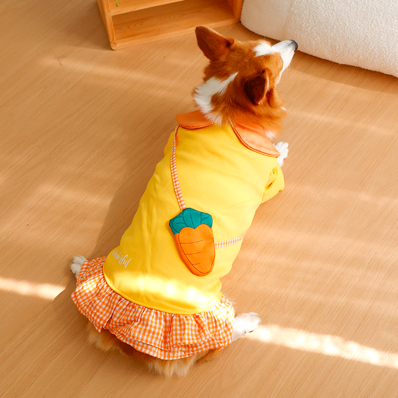Dog clothing - Winter warmers  - Winter Clothing Leg Warmers incelemesi ve fiyatı