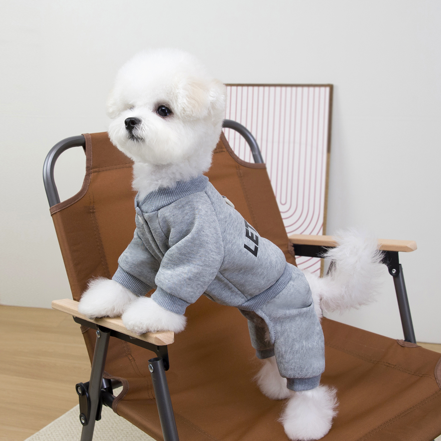 ON SALE Pet Dog Clothes Warm D - Winter Clothing On Sale incelemesi ve fiyatı