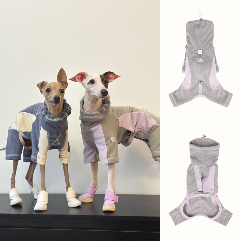 Dog Clothes for Autumn and Win - Winter Clothing Leg Warmers incelemesi ve fiyatı