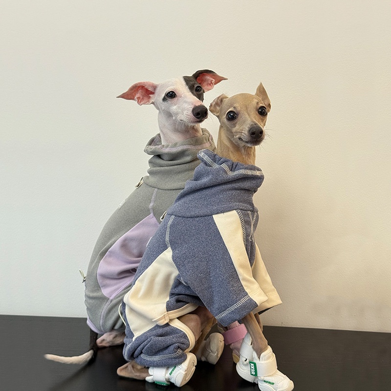 Dog Clothes for Autumn and Win - Winter Clothing Leg Warmers incelemesi ve fiyatı