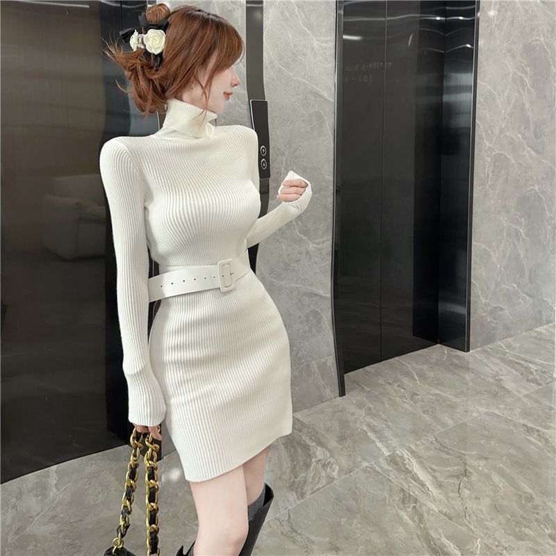Bodycon Turtleneck Short Skinn - Winter Clothing On Sale incelemesi ve fiyatı