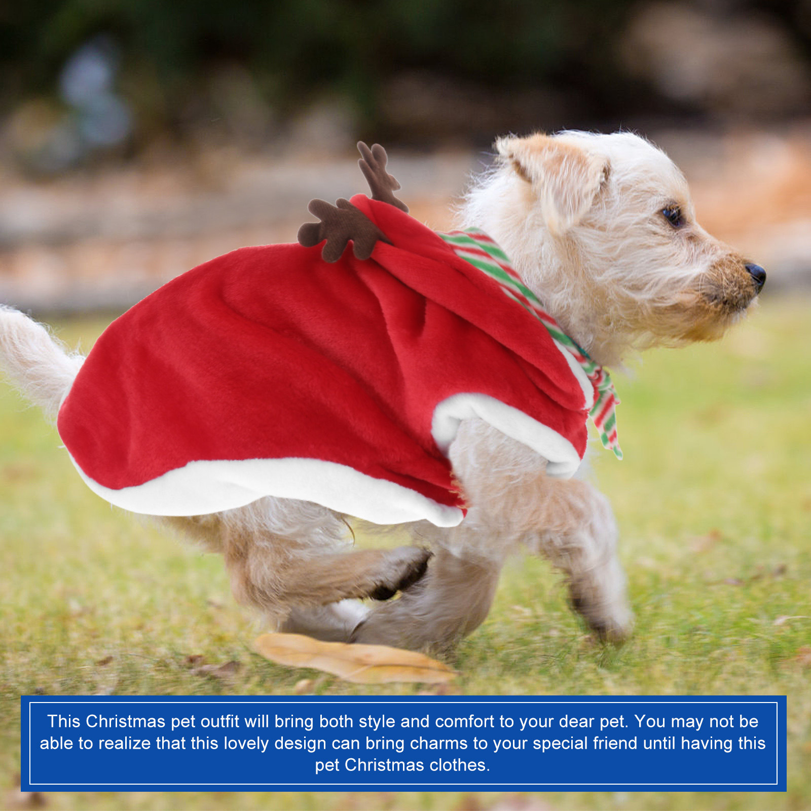 1Set Pet Christmas Clothes Fes - Winter Clothing Activity incelemesi ve fiyatı