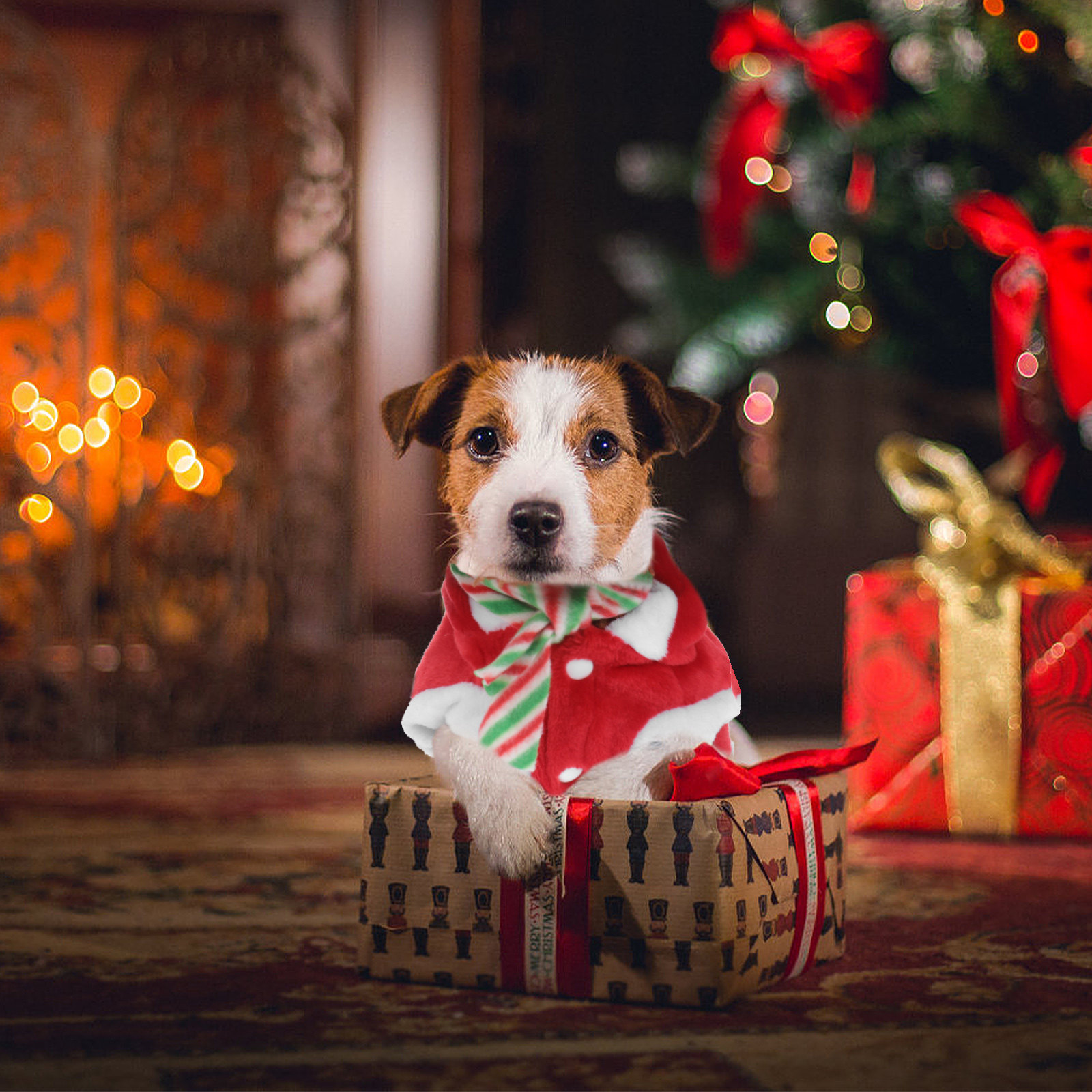 1Set Pet Christmas Clothes Fes - Winter Clothing Activity incelemesi ve fiyatı